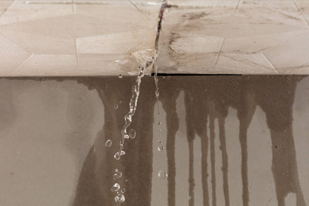 Professional Flood Damage Cleanup technician working in Lexington, TN